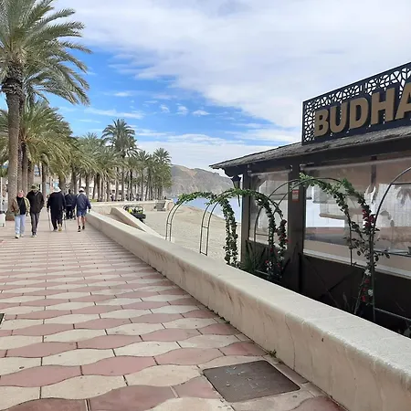 Avilena Tropical En Aguadulce * Almeria